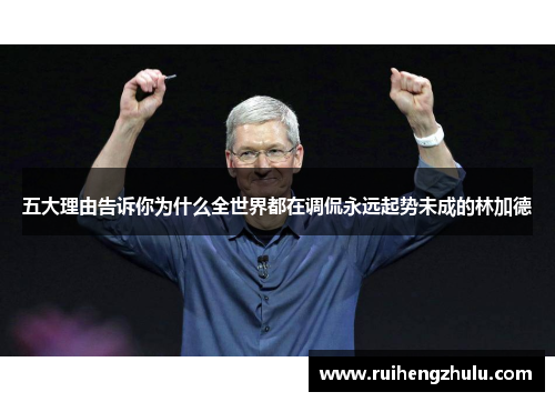 五大理由告诉你为什么全世界都在调侃永远起势未成的林加德 五大理由告诉你为什么全世界都在调侃永远起势未成的林加德