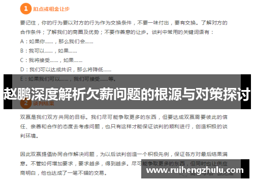 赵鹏深度解析欠薪问题的根源与对策探讨